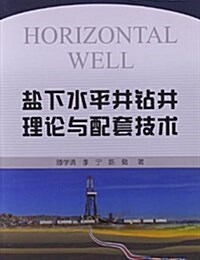 鹽下水平井钻井理論與配套技術 (平裝, 第1版)