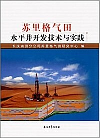 苏里格氣田水平井開發技術與實踐 (平裝, 第1版)