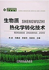 生物质熱化學转化技術/现代生物质能源技術叢书 (平裝, 第1版)