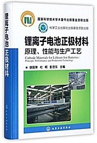 锂離子電池正極材料:原理、性能與生产工藝 (精裝, 第1版)