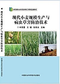 现代小麥規模生产與病蟲草害防治技術 (平裝, 第1版)