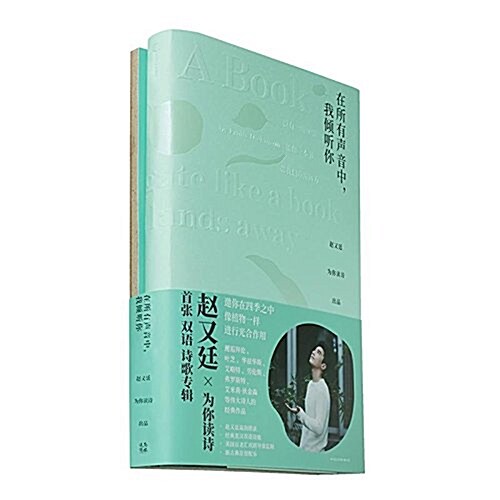 在所有聲音中,我傾聽你(隨机附赠赵又廷明信片3张) (精裝, 第1版)