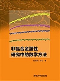 非晶合金塑性硏究中的數學方法 (平裝, 第1版)