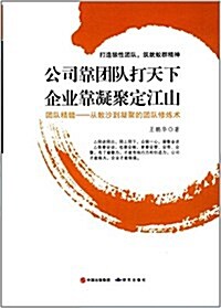 公司靠團隊打天下 企業靠凝聚定江山 (平裝, 第1版)