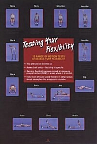 Testing Your Flexibility Poster (Other)