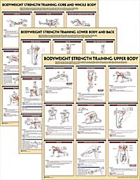 Bodyweight Strength Training Anatomy Poster Series (Other)