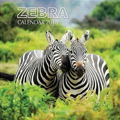 Zebra Calendar 2018: 16 Month Calendar (Paperback)