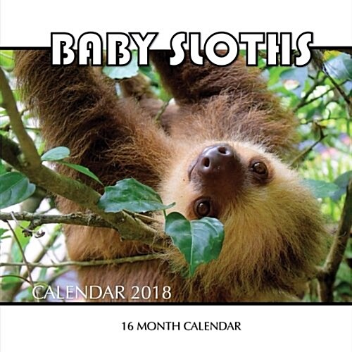 Baby Sloth Calendar 2018: 16 Month Calendar (Paperback)