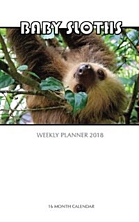 Baby Sloth Weekly Planner 2018: 16 Month Calendar (Paperback)