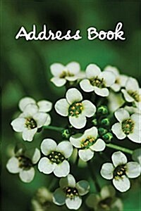 Address Book.: (Flower Edition Vol. 183) Glossy And Soft Cover, Large Print, Font, 6 x 9 For Contacts, Addresses, Phone Numbers, Em (Paperback)