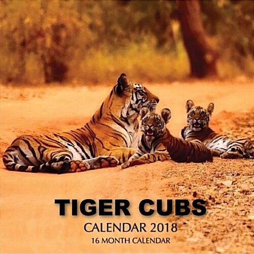 Tiger Cubs Calendar 2018: 16 Month Calendar (Paperback)