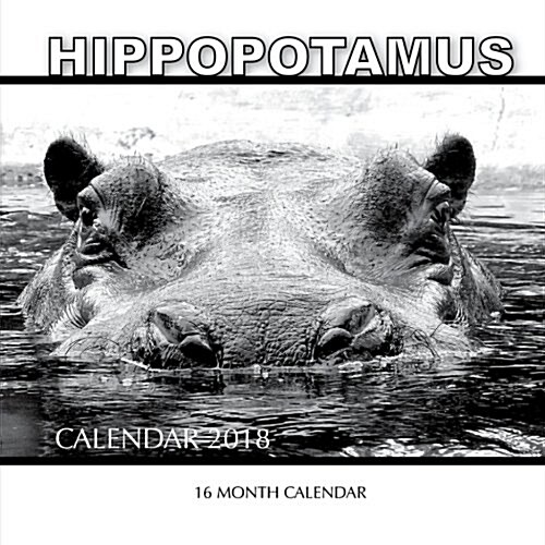 Hippopotamus Calendar 2018: 16 Month Calendar (Paperback)