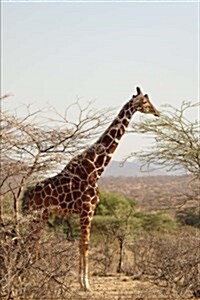 Giraffe Nibbling on a Tree Journal: 150 Page Lined Notebook/Diary (Paperback)