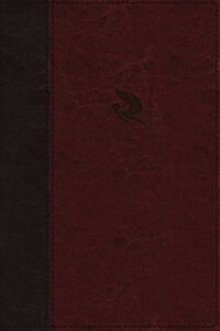 NKJV, Spirit-Filled Life Bible, Third Edition, Imitation Leather, Burgundy, Indexed, Red Letter Edition, Comfort Print: Kingdom Equipping Through the (Imitation Leather, 3)