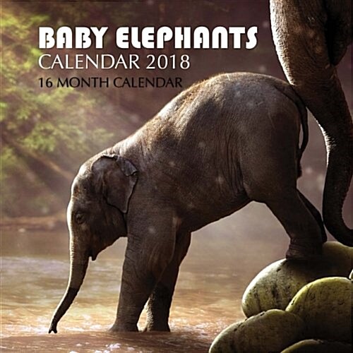 Baby Elephants Calendar 2018: 16 Month Calendar (Paperback)