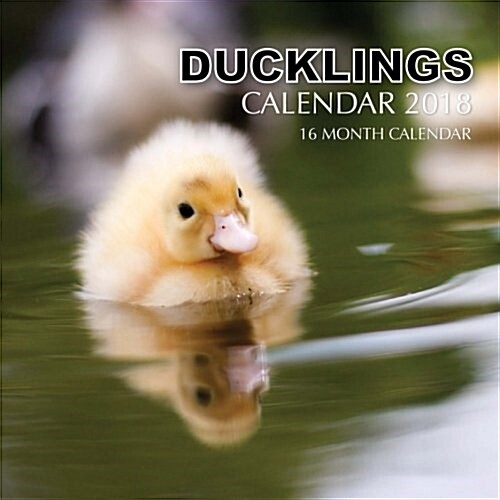 Ducklings Calendar 2018: 16 Month Calendar (Paperback)