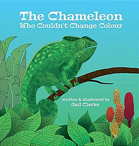 The Chameleon Who Couldnt Change Colour (Hardcover)