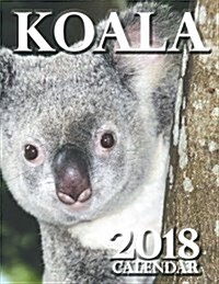 Koala 2018 Calendar (UK Edition) (Paperback)