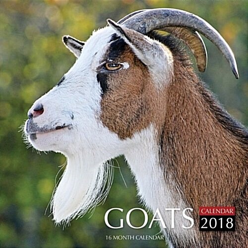 Goats Calendar 2018: 16 Month Calendar (Paperback)