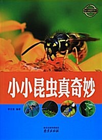 小小昆蟲眞奇妙/疯狂動物城科普叢书 (平裝, 第1版)