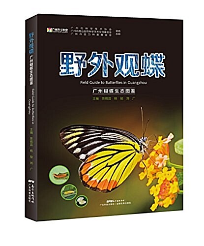 野外觀蝶:廣州蝴蝶生態圖鑒 (平裝, 第1版)