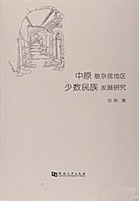 中原散雜居地區少數民族發展硏究 (平裝, 第1版)