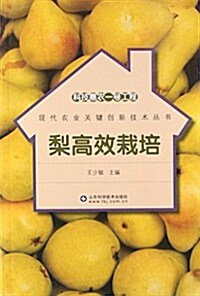 梨高效栽培/现代農業關鍵创新技術叢书 (平裝, 第1版)