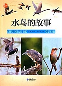 惠民小书屋叢书·自然隨筆系列:水鸟的故事 (平裝, 第1版)