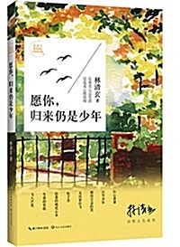 愿你,歸來仍是少年:林淸玄啓悟人生系列 (平裝, 第1版)