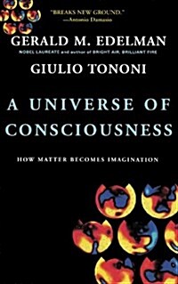 A Universe of Consciousness (Paperback)