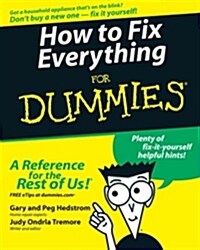 How to Fix Everything for Dummies (Paperback)