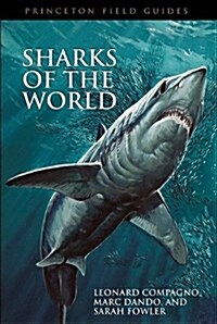 Sharks Of The World (Paperback)