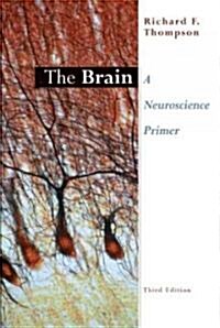 The Brain (Paperback, 3rd)