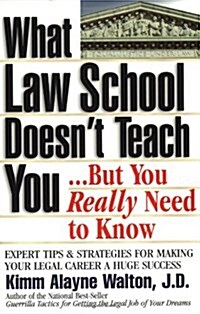What Law School Doesnt Teach You...but You Really Need to Know (Paperback)