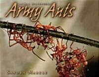 Army Ants (Library Binding)