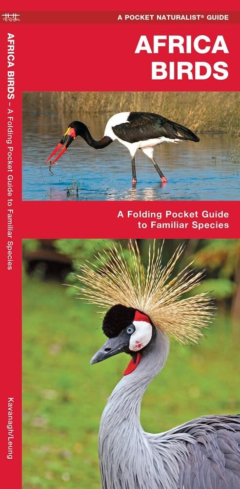 Africa Birds: A Folding Pocket Guide to Familiar Species (Paperback)