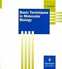 Basic Techniques in Molecular Biology (Paperback, 2000)