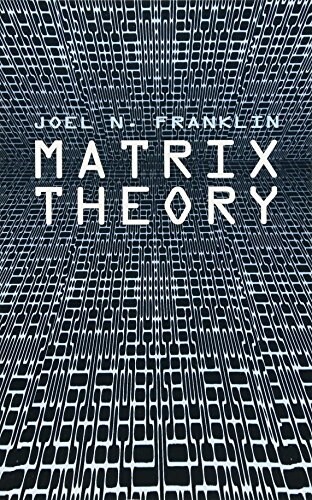 Matrix Theory (Paperback)