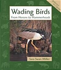 Wading Birds (Library)