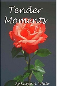 Tender Moments (Paperback)
