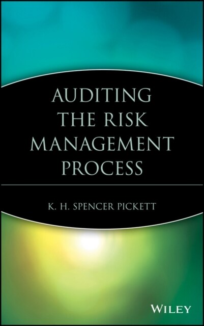 Auditing the Risk Management Process (Hardcover)