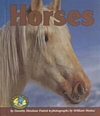 Horses (Hardcover)