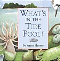 Whats in the Tide Pool? (Hardcover)