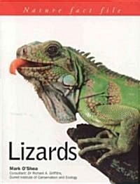 Lizards (Paperback)