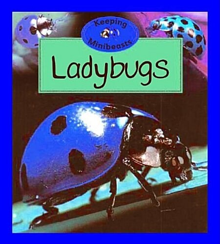 Ladybugs (Library)