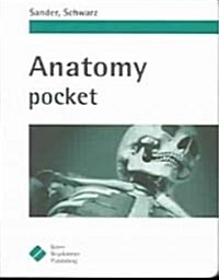 Anatomy Pocket (Paperback, 1st)