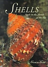Shells: Guide to the Jewels of the Sea (Hardcover)