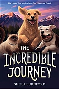 The Incredible Journey (Paperback)