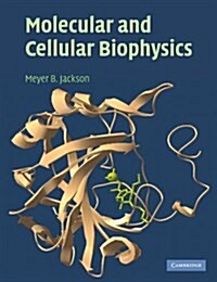 Molecular and Cellular Biophysics (Paperback)