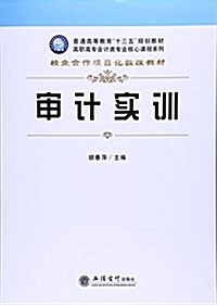 審計實训/高職高专會計類专業核心課程系列 (平裝, 第1版)